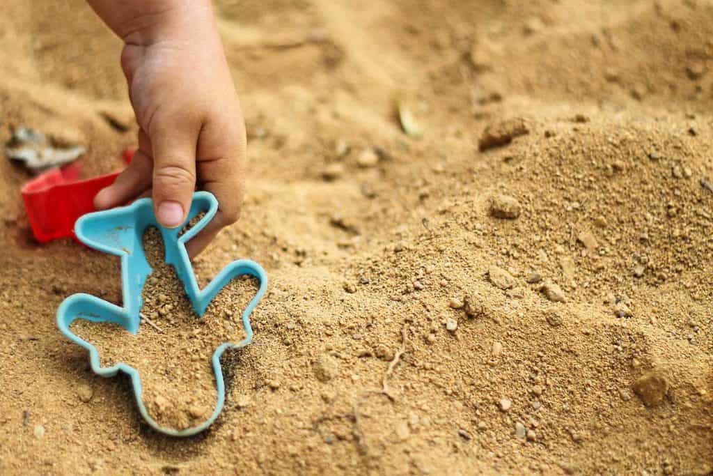 Can You Use Sand Instead of Cat Litter?
