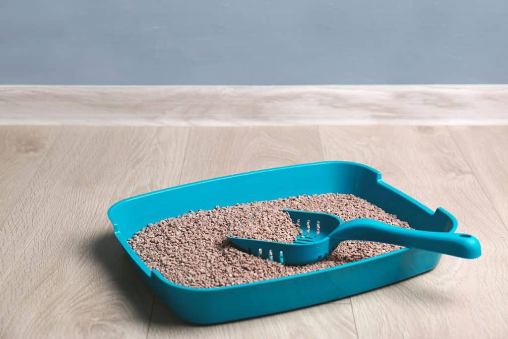 How Often Should You Change Clumping Cat Litter?