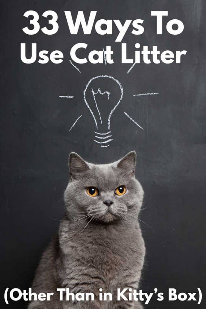 33 Ways to Use Cat Litter (Other Than in Kitty’s Box)