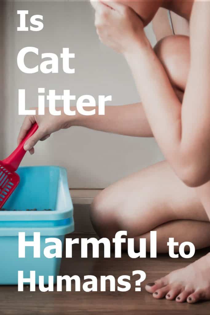 Is Cat Litter Harmful To Humans
