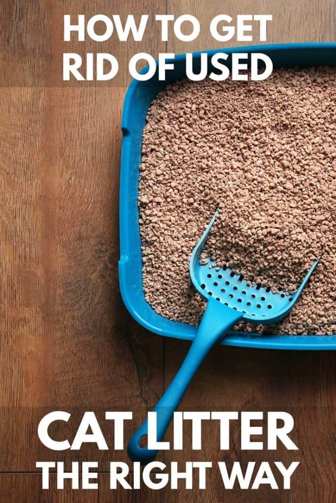 How to Get Rid of Used Cat Litter the Right Way