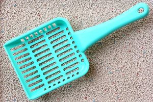 Read more about the article Best Litter Scoop Holders