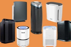 Read more about the article Do Litter Box Air Purifiers Help? (Plus 7 You Can Try for Yourself!)