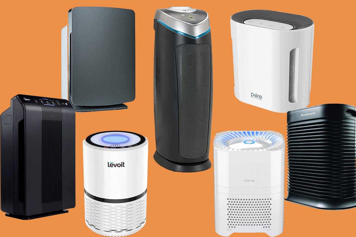 Do Litter Box Air Purifiers Help? (Plus 7 You Can Try for Yourself