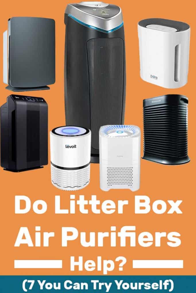 Do Litter Box Air Purifiers Help? (Plus 7 You Can Try for Yourself!)