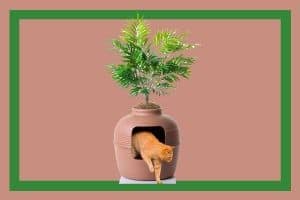 Read more about the article 30 Hidden Litter Boxes You Should Check Out