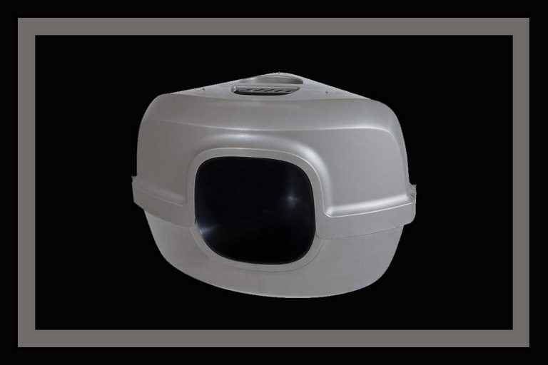 7 Extra Large Litter Boxes That Can Fit Your Large Cat