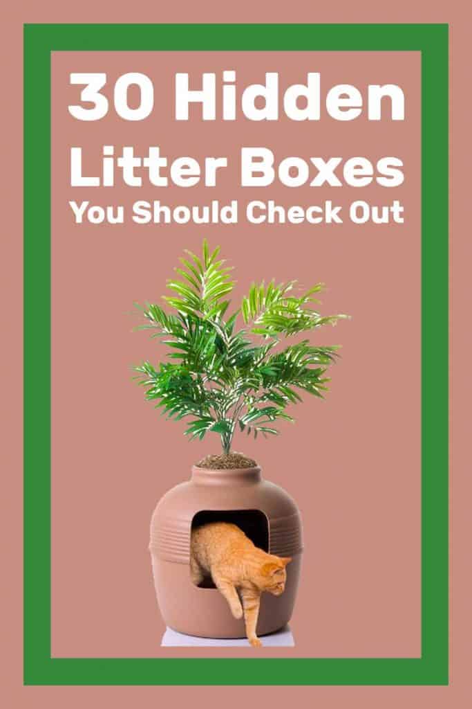 30 Hidden Litter Boxes You Should Check Out