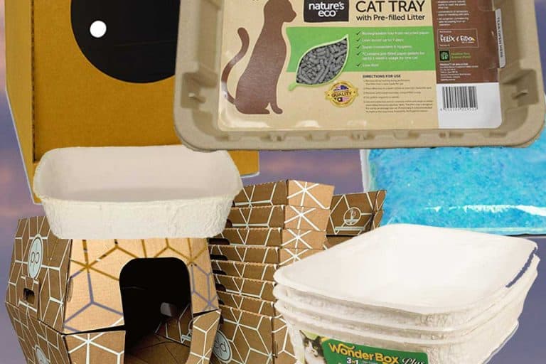 Top 10 Disposable Litter Boxes (And Should You Try Any of Them)