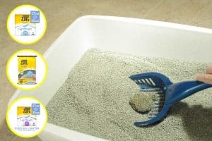 Read more about the article Cat Litter with Glade? Check out these novel products!
