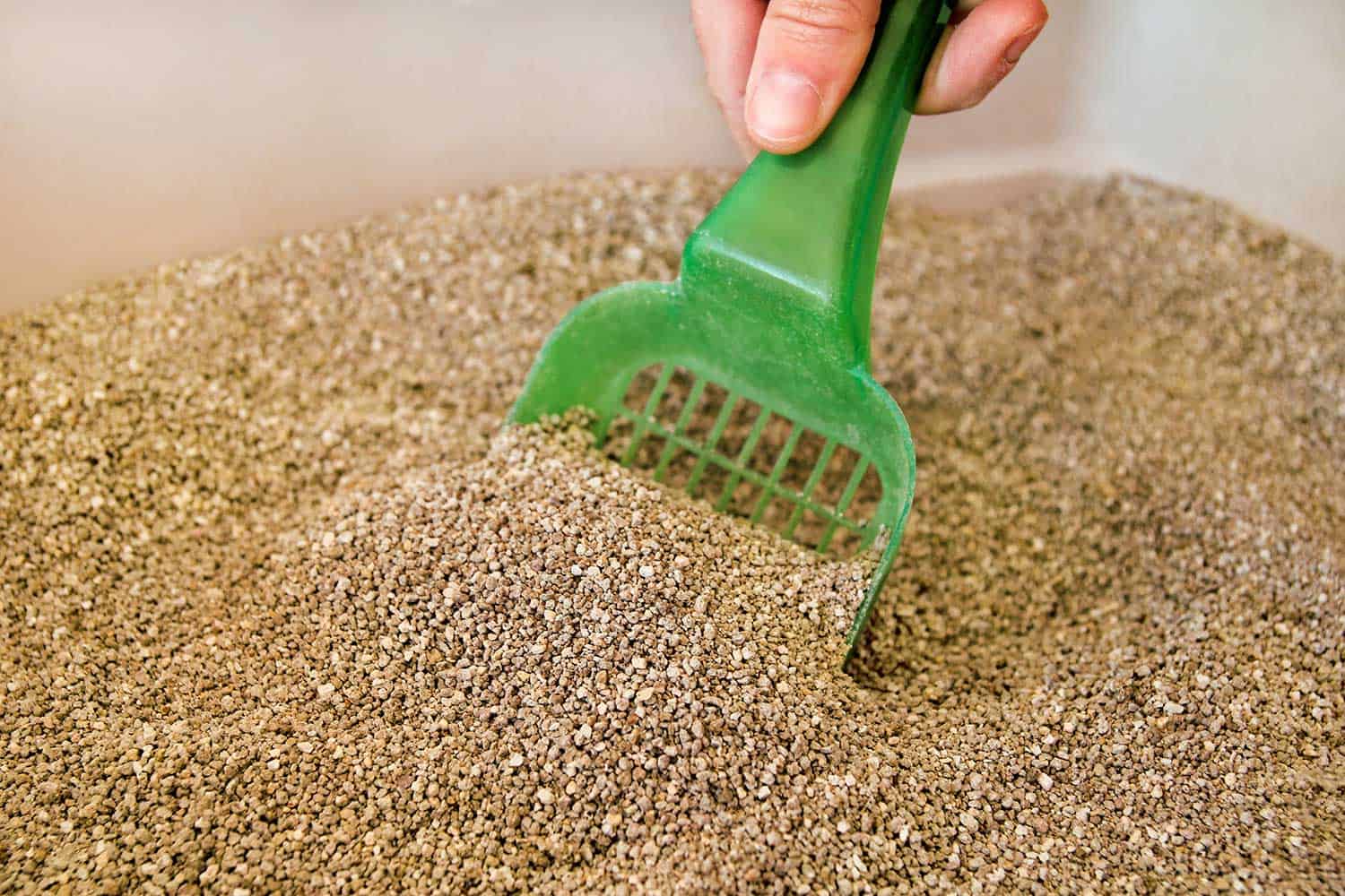 Scooping cat litter box with green spatula