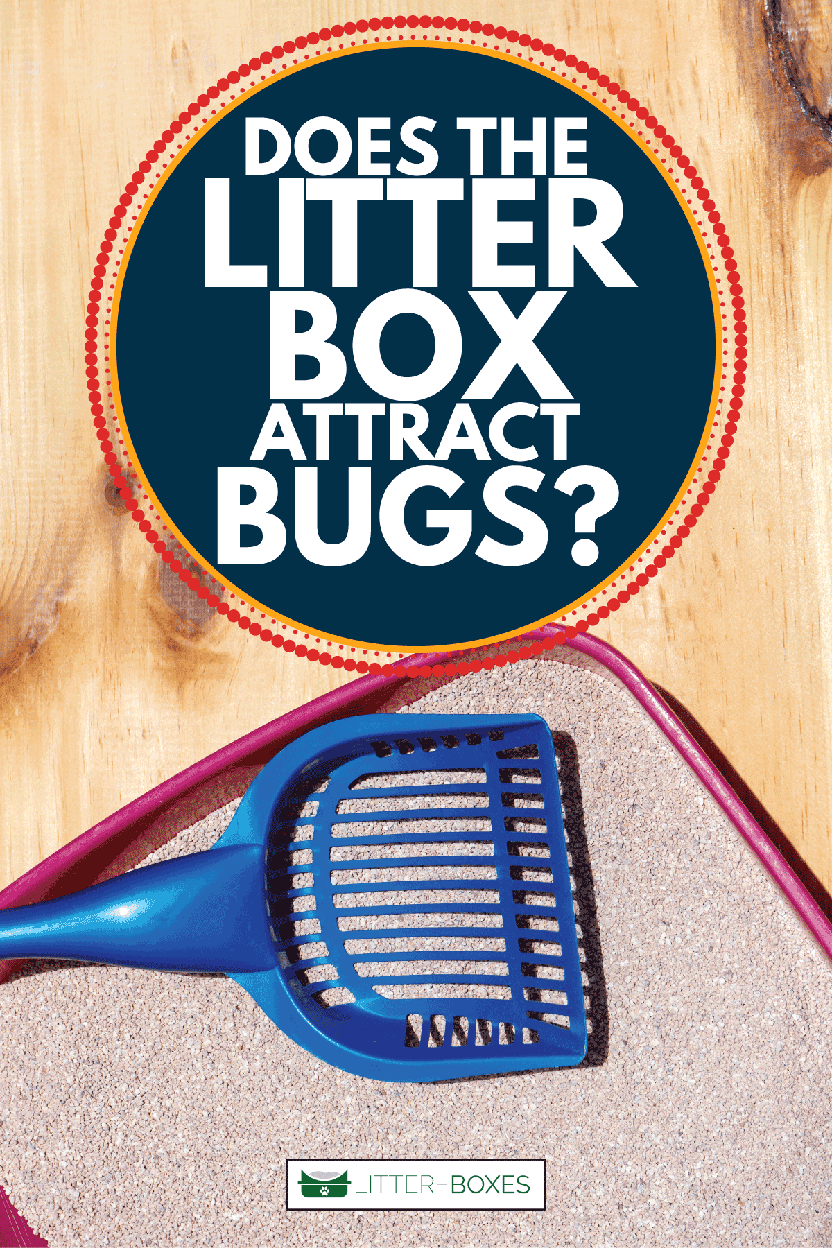 Cat litter that doesn't attract gnats