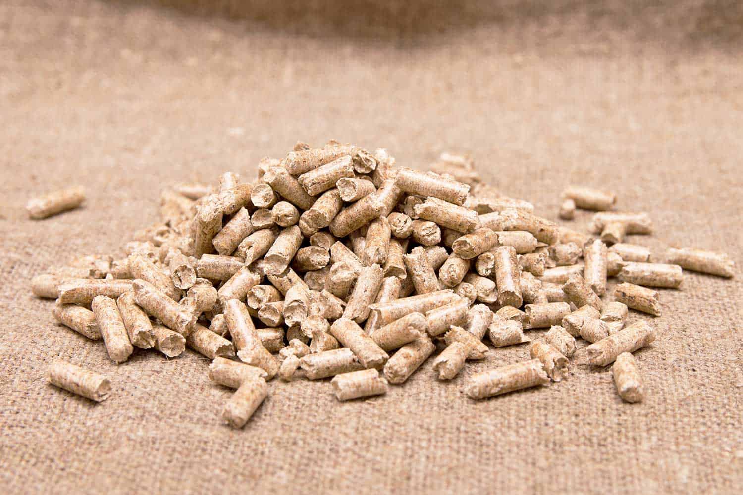 Wood pellets close up
