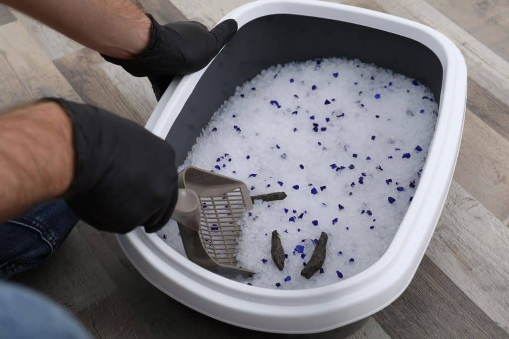 A man removing cat litter from the litter box