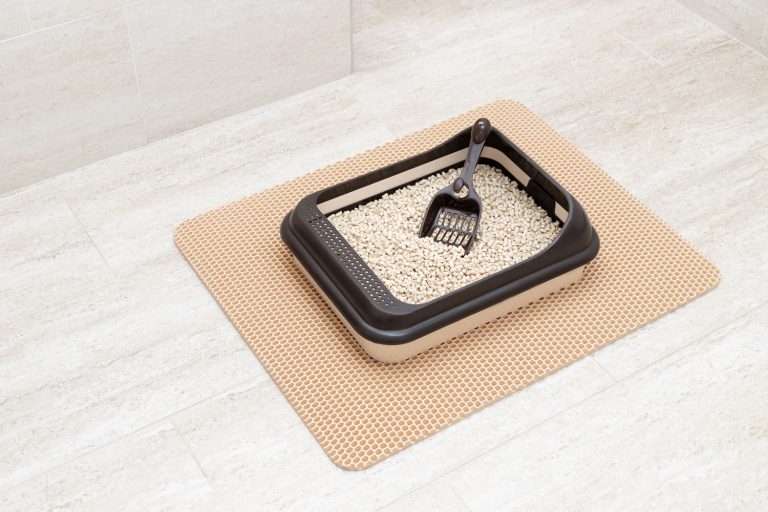 Cat litter box with wooden pellets and scoop on litter mat in bathroom, What Kind Of Cat Litter Can You Use For Rabbits?