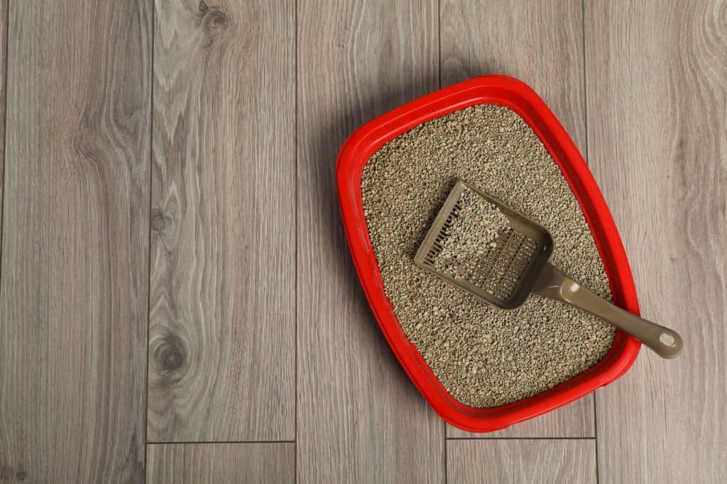 Cat tray with clumping litter and scoop on wooden floor, top view