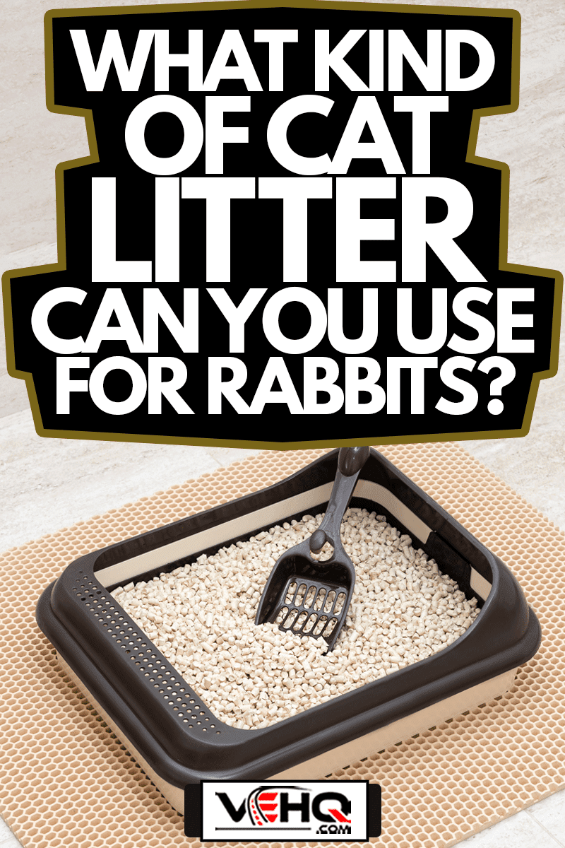 Cat litter box with wooden pellets and scoop on litter mat in bathroom, What Kind Of Cat Litter Can You Use For Rabbits?