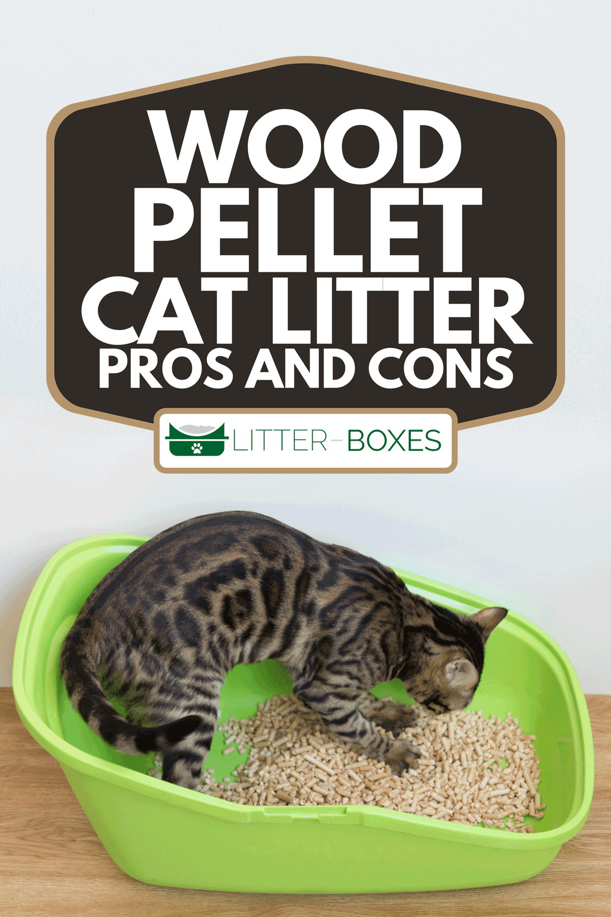 A Bengal cat pees in its cat toilet, Wood Pellet Cat Litter Pros And Cons