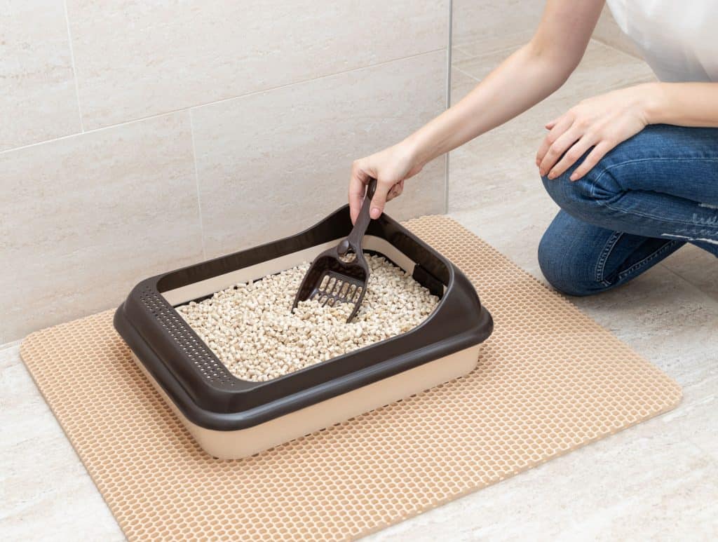 Young woman cleaning cat litter box with wood pellets in bathroom