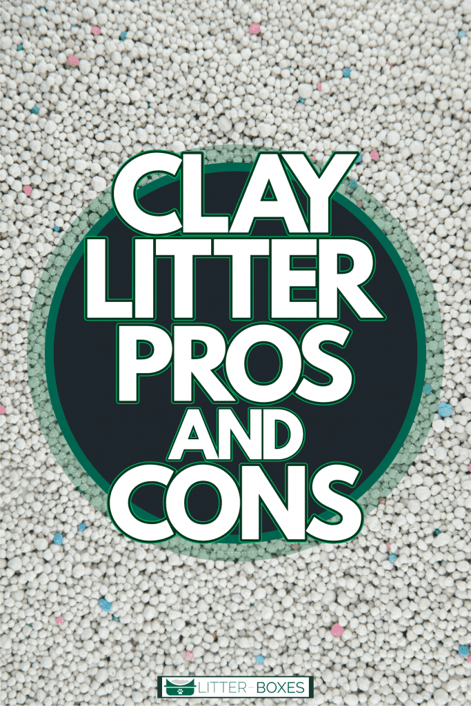 Up close photo of clay cat litter, Clay Litter Pros And Cons