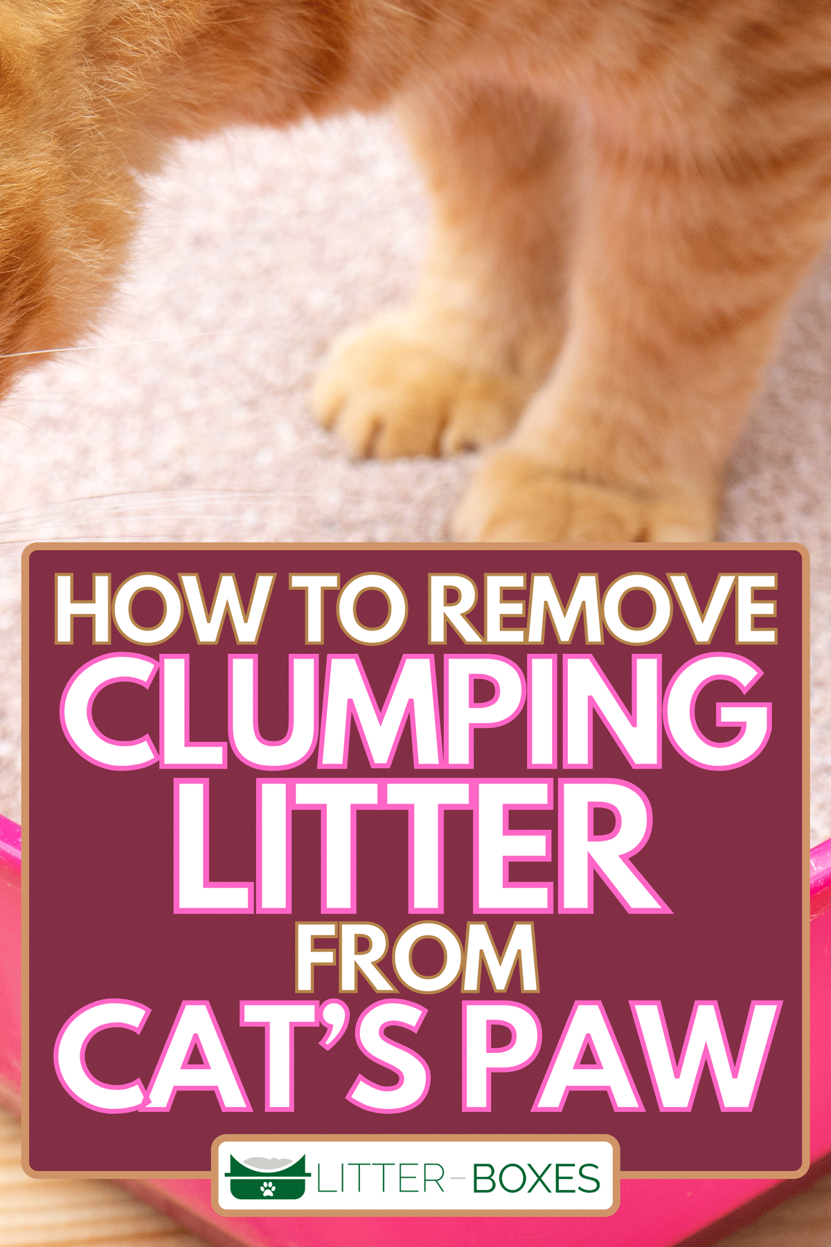 A cat on a litter box, How To Remove Clumping Litter From Cat's Paw
