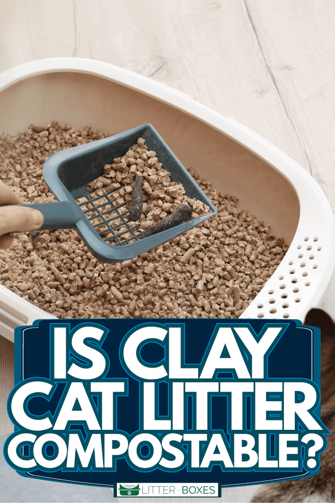 Cat owner scooping cat litter from the litter box, Is Clay Cat Litter Compostable?