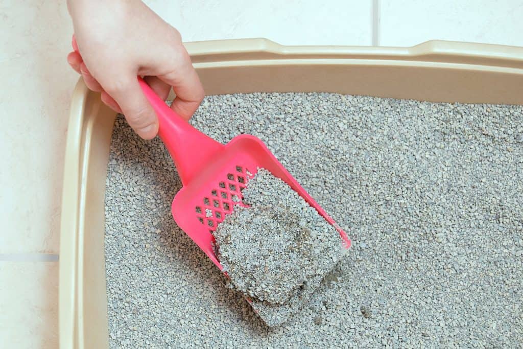 Woman mixing some cat litter sand in the litter