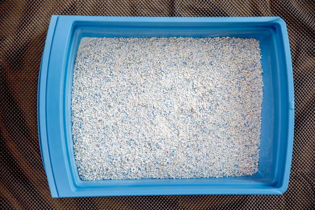 A blue litter box with cat litter, How To Make Clay Out Of Cat Litter