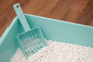 Read more about the article How To Dissolve Hardened Cat Litter [Can You Use Vinegar?]