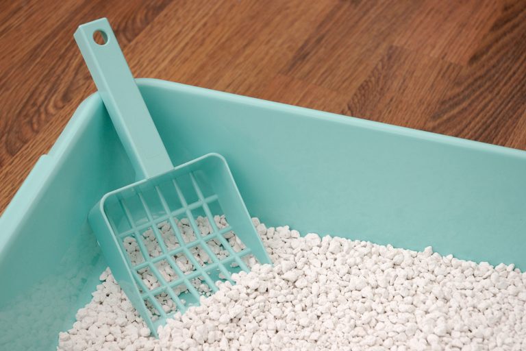 A light blue cat litter box with white cat litter, How To Dissolve Hardened Cat Litter [Can You Use Vinegar?]