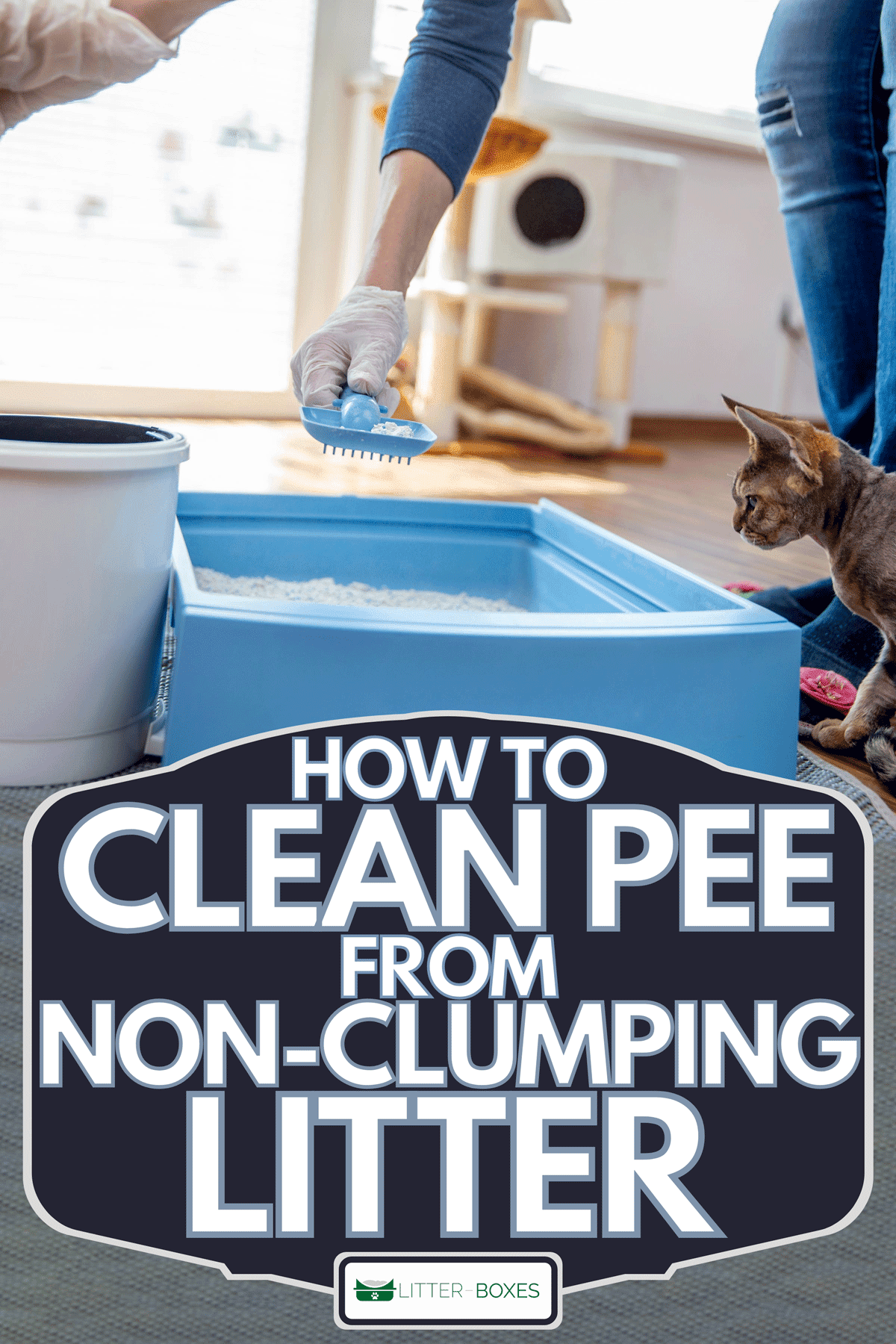 Adult woman cleaning cat litter box, How To Clean Pee From Non-Clumping Litter