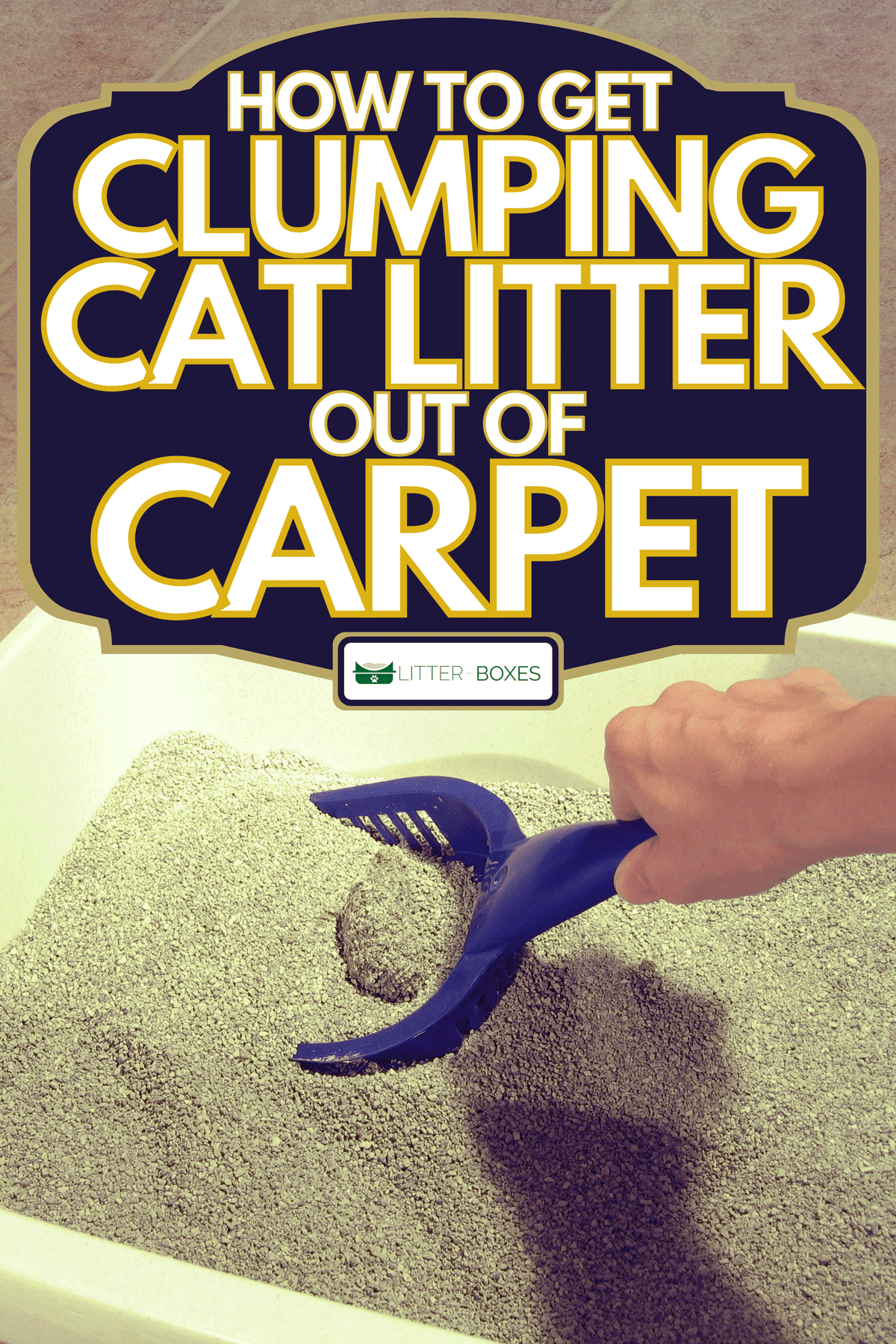 Scooping the cat clumping litter on the litterbox, How To Get Clumping Cat Litter Out Of Carpet