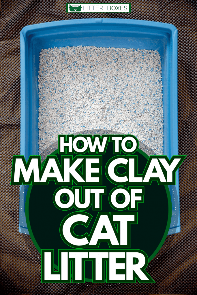 A blue litter box with cat litter, How To Make Clay Out Of Cat Litter
