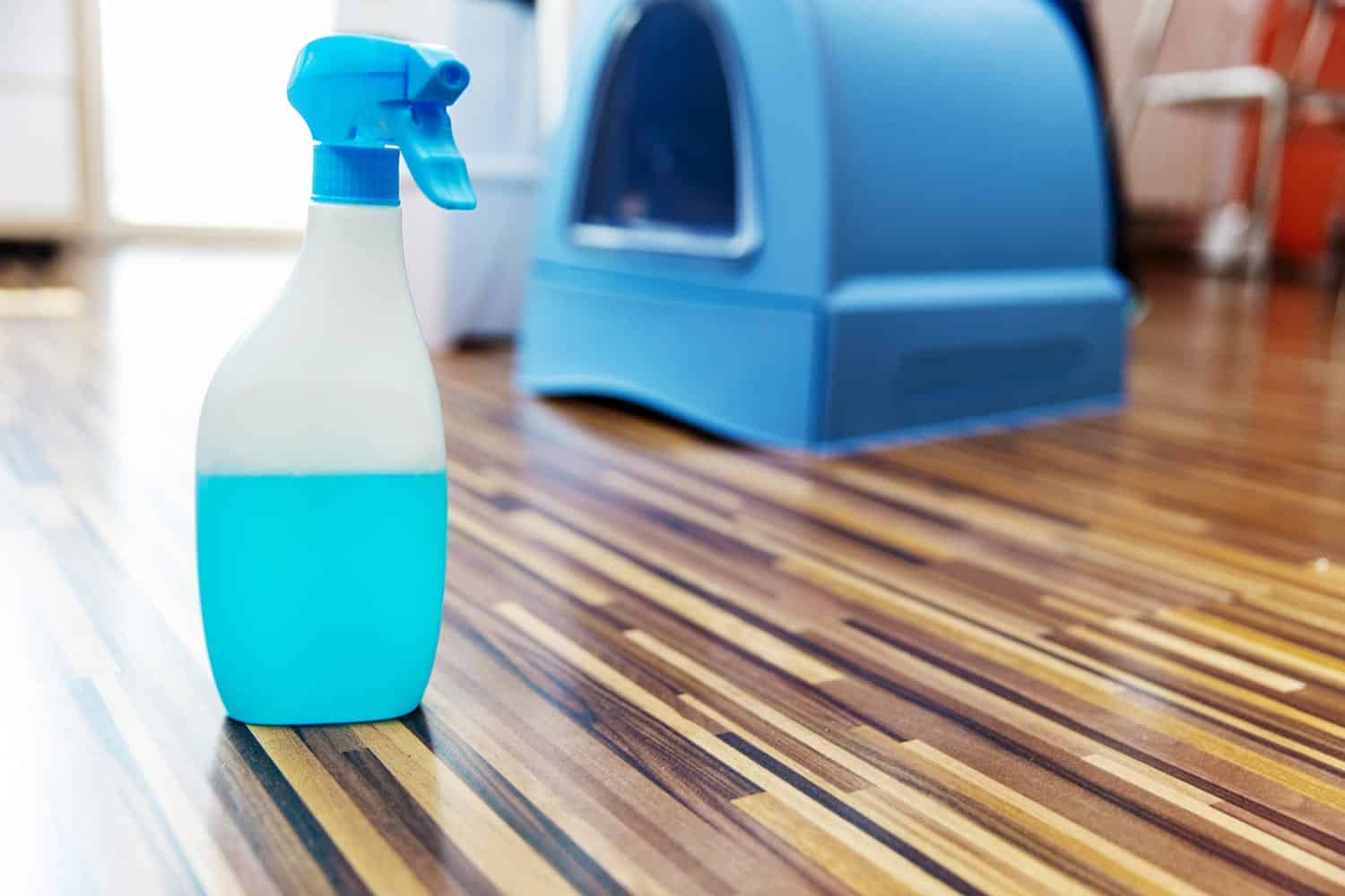 Plastic spray bottle with disinfectant for cleaning cat litter box on hardwood floor