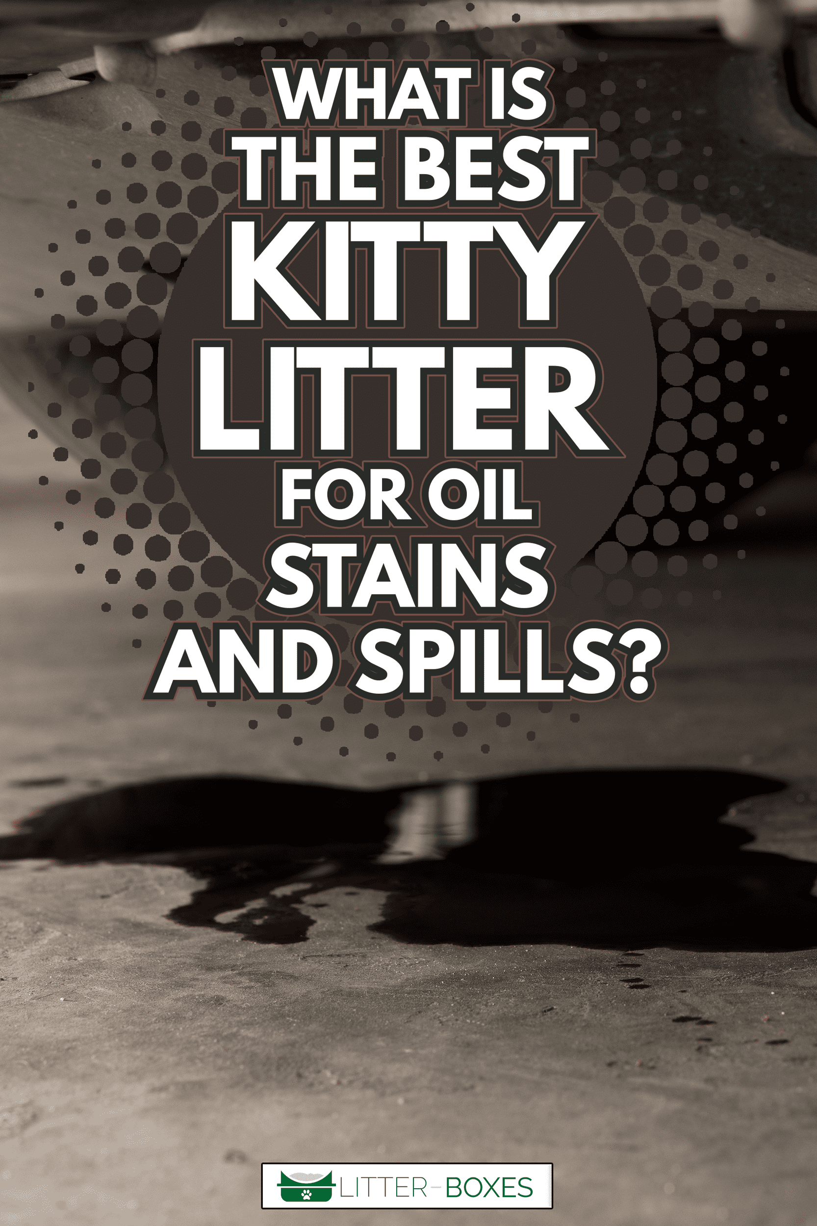 Oil leak or drop from engine of car on concrete floor , check and maintenance auto service - What Is The Best Kitty Litter For Oil Stains And Spills