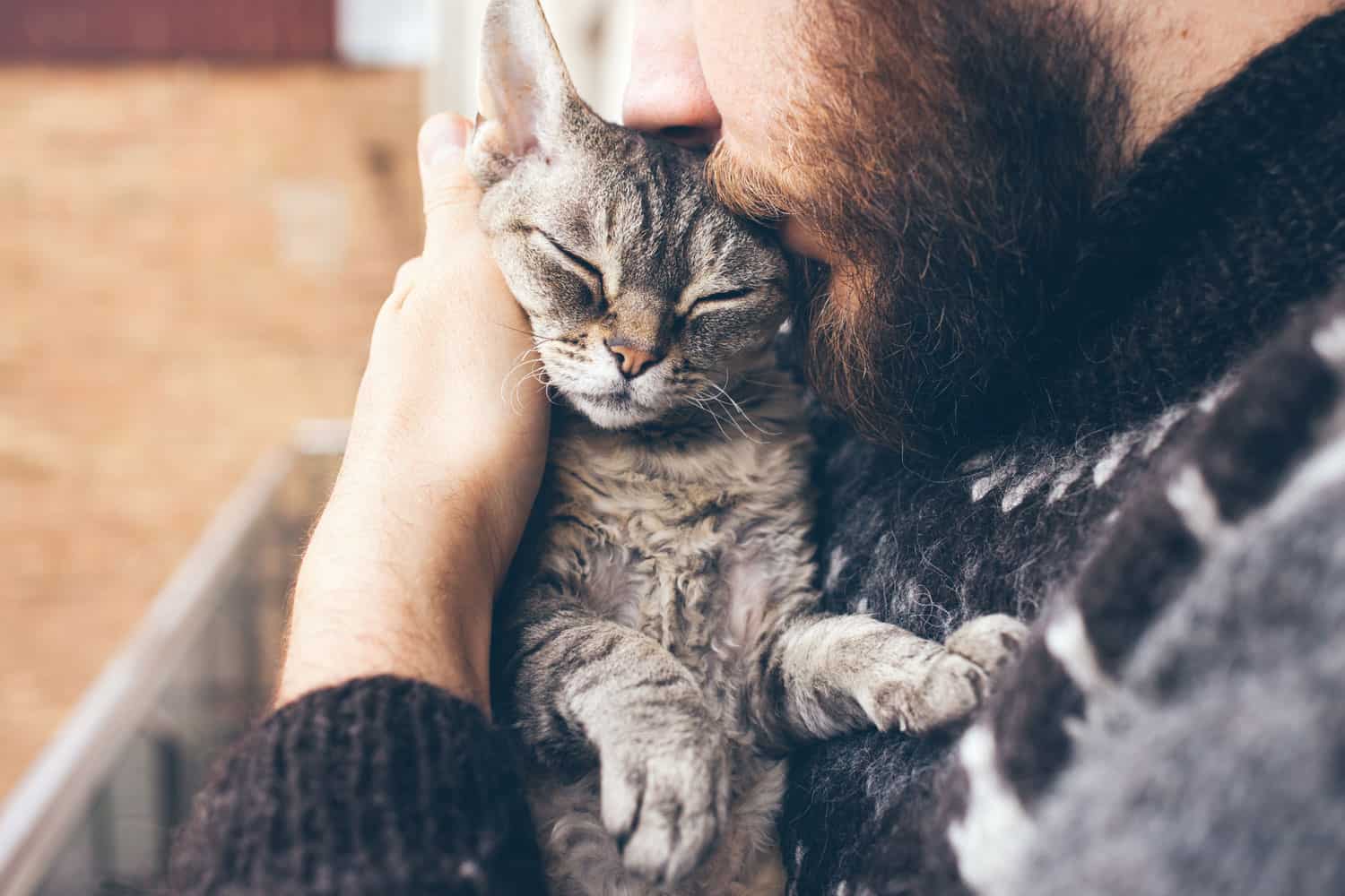 A man pampering his cat to let him sleep