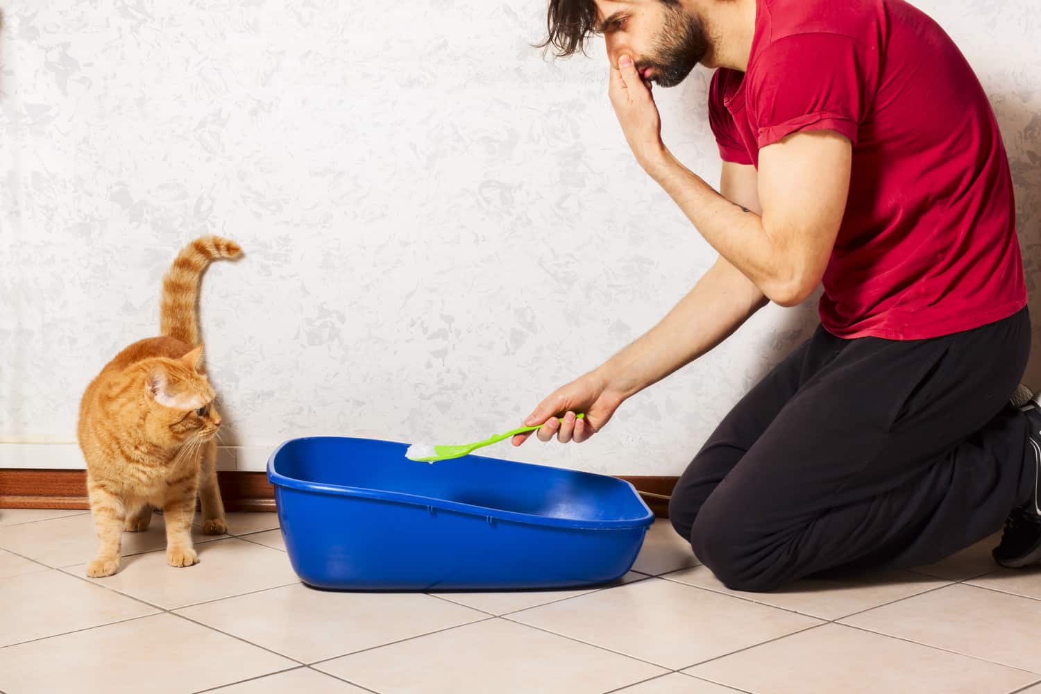 Adult person's hand removing and cleaning cat litter box from clumps of cat urine and feces