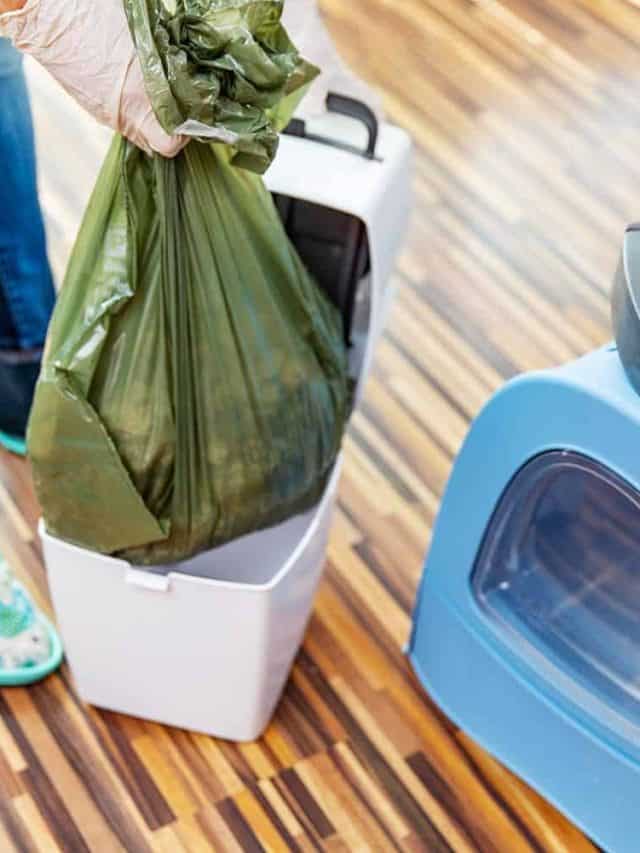 Woman removing garbage bag full of animal dung from cat litter disposal container