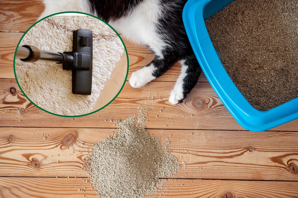 Tray litter toilet with a filler on the wooden floor boards, How To Get Cat Litter Residue Off Floor [Inc. Hardwood]