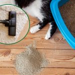 How To Get Cat Litter Residue Off Floor [Inc. Hardwood]