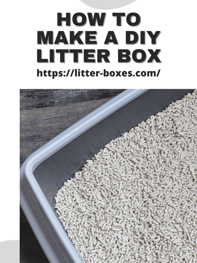 How to Make a DIY Litter Box (10)