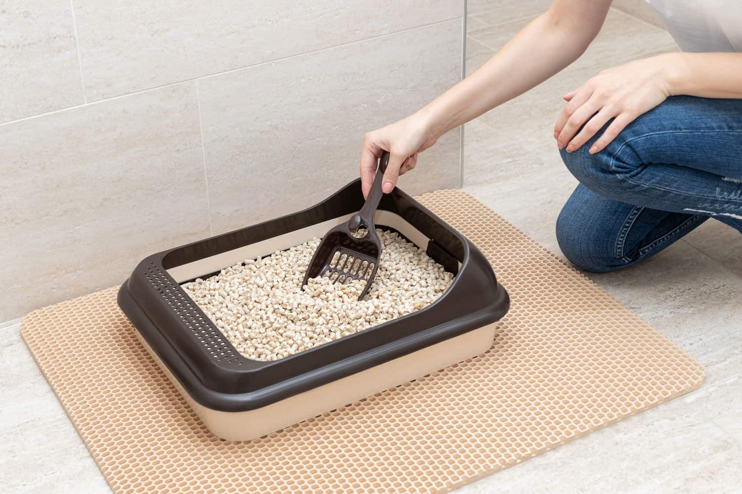 Woman cleaning cat litter box