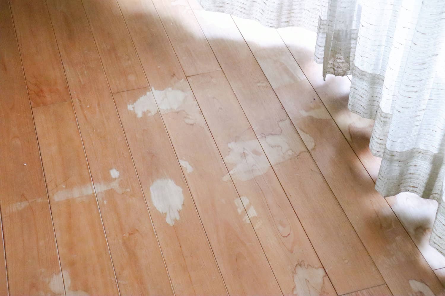 Damaged flooring due to cat urine