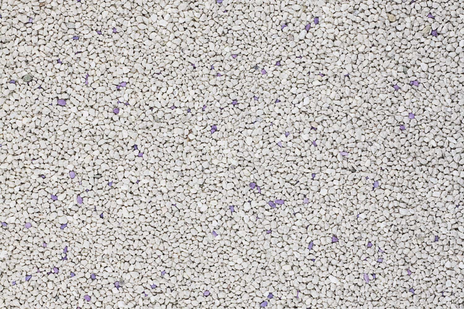 Cat litter with purple particels for lavender scent Can be used as product photo or cat littler packaging mock up element Pebble texture - world's best litter in the litter-robot