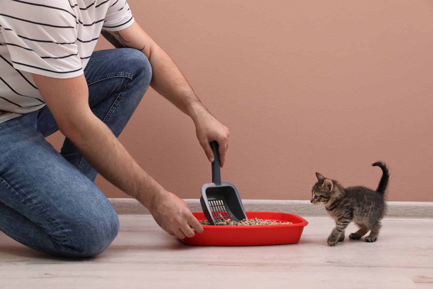 Woman picking up cat poop on the side of the litter box