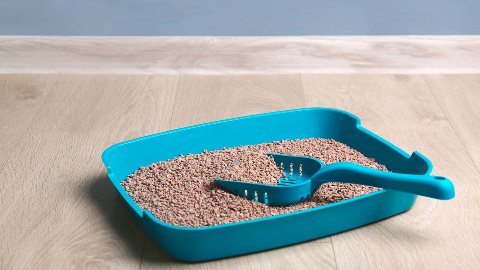 Plastic litter box with filler and scoop on floor